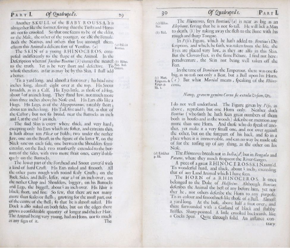   Figure 2: Nehemiah Grew’s (1681) catalogue entry for “The skin of a young rhinoceros.”