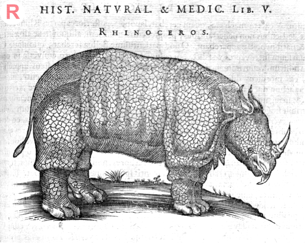 Figure 3: Willem Piso’s illustration of a rhinoceros in Jacob Bontius’ (1658) Historiae Naturalis.