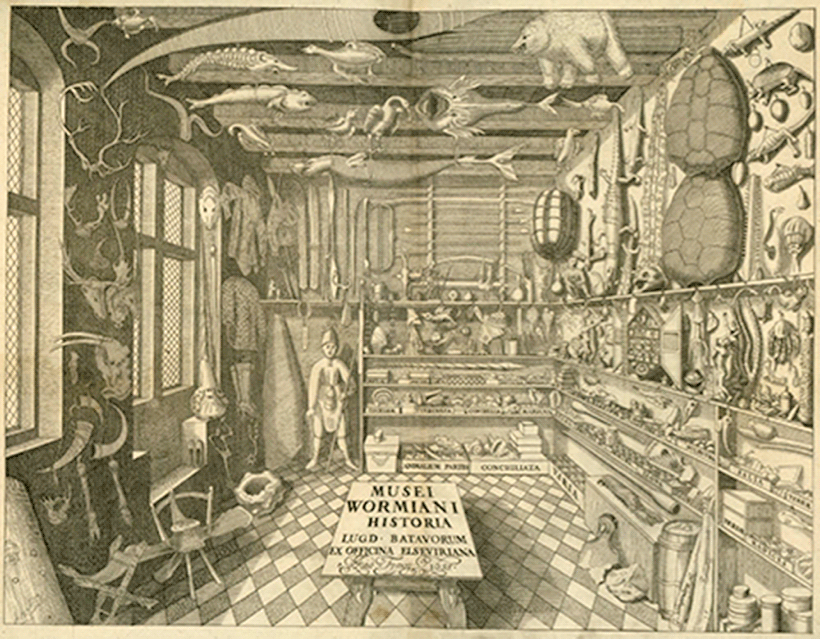 Figure 5: Engraving of Olaus Worm’s museum, Copenhagen, Denmark.