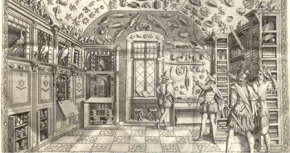 Figure 6: Engraving of Ferrante Imperato’s museum, Naples, Italy.